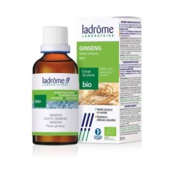 Ginseng bio extrait de plantes fraîches