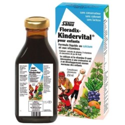 Floradix KinderVital Enfant