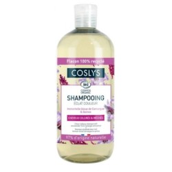 Shampoing éclat couleur  Cheveux colorés et méchés 500 ml