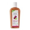 Cheveux colorés Flacon 250 ml