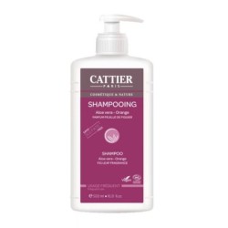 Shampoing usage fréquent sans sulfates 500 ml